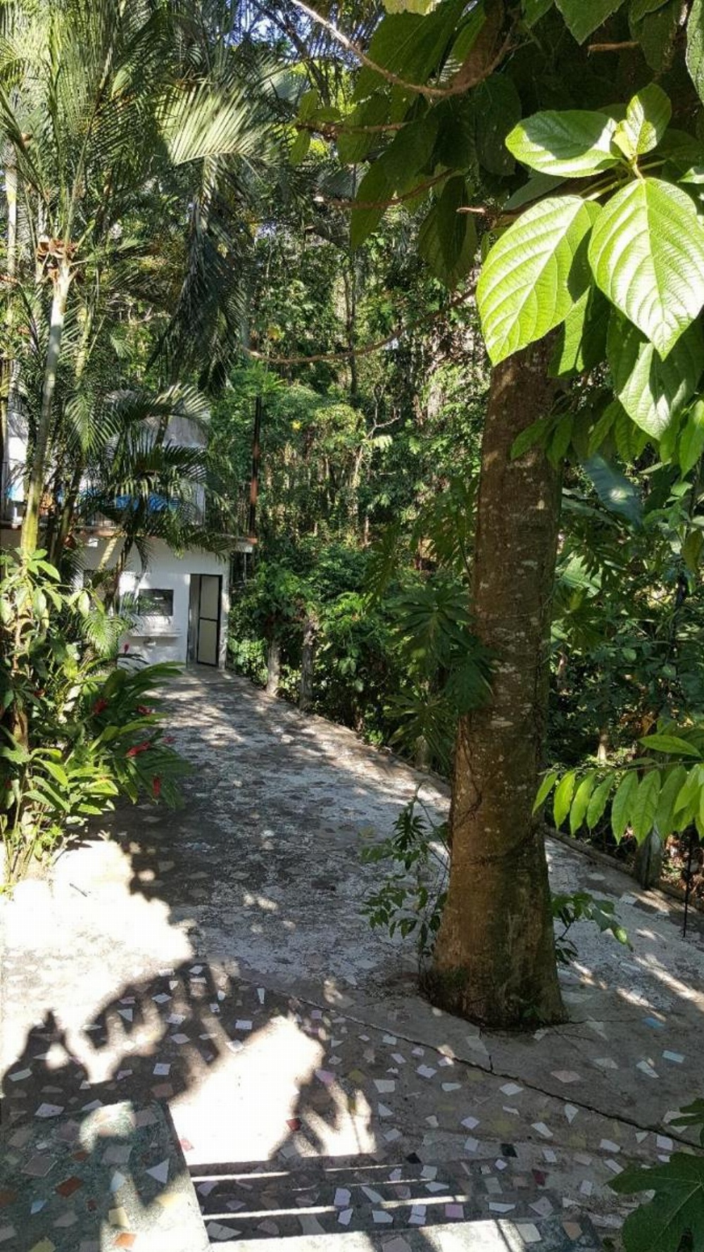 Hotel Quinta Avenida Image 7